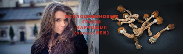 прущая мука Медвежьегорск