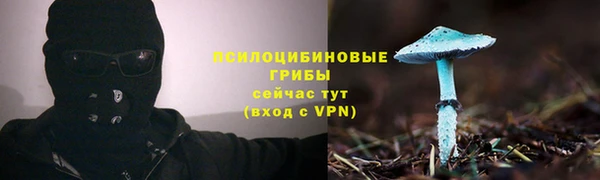 прущая мука Медвежьегорск