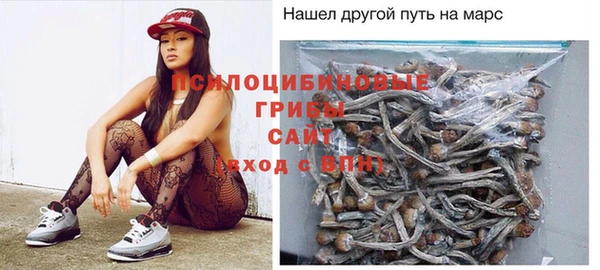 мет Мегион