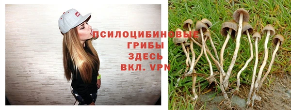 бутират Медногорск